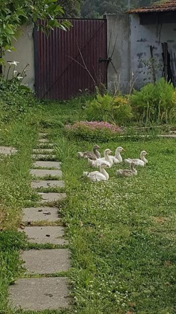 봄바랄 Granja Mg 아파트 외부 사진